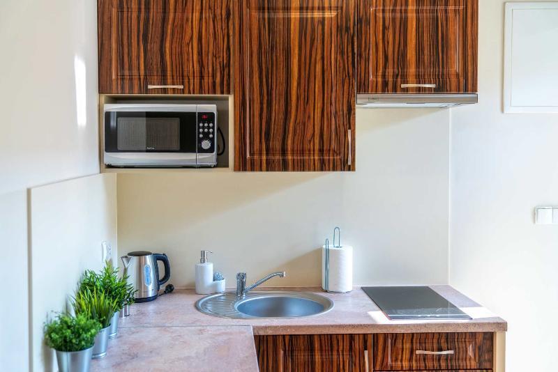 Apartment 17 Szewska